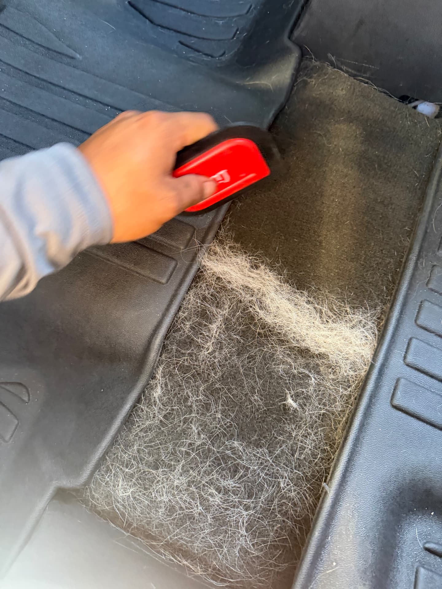 Interior pet hair removal