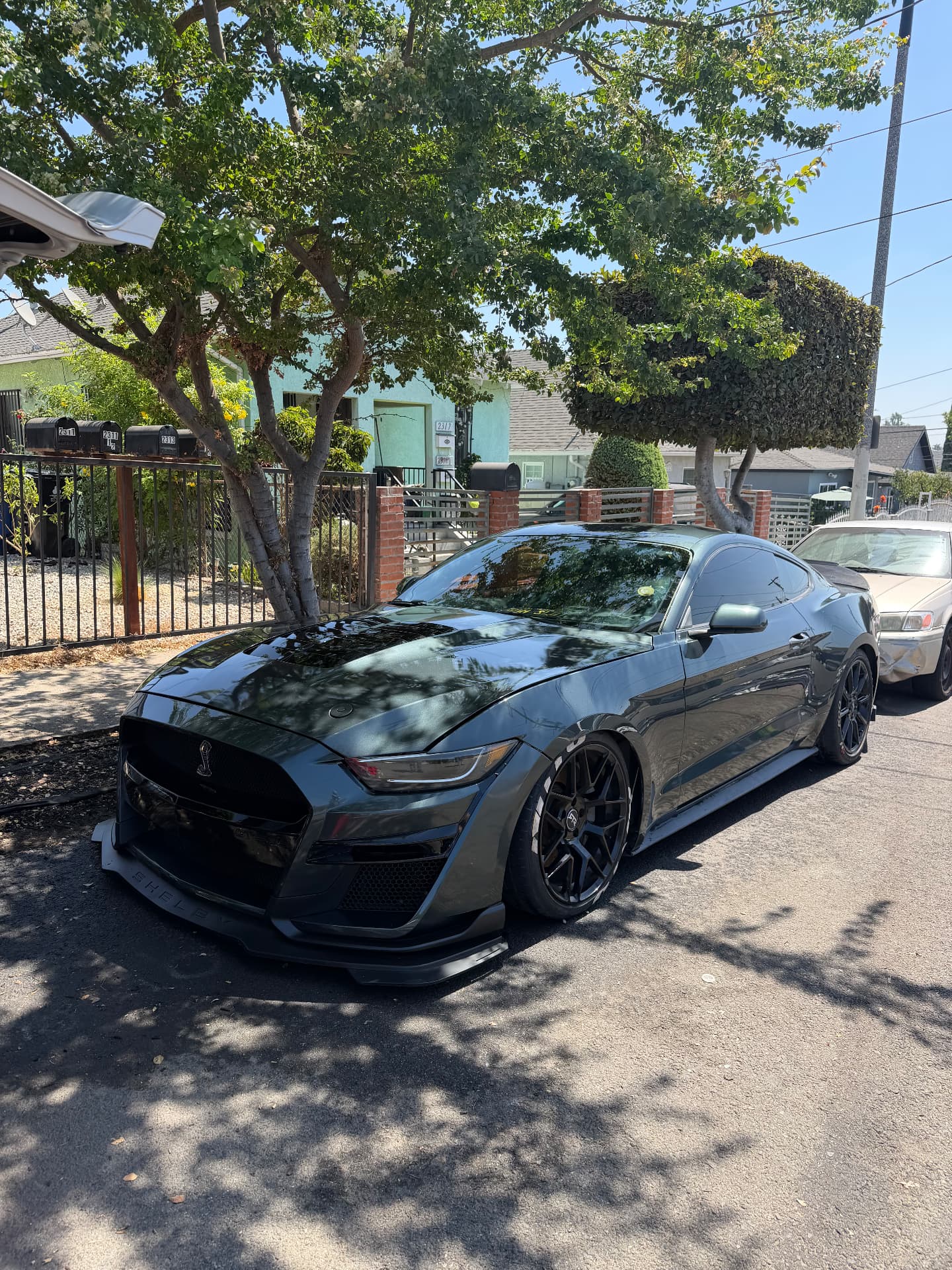 Dark green muscle car after detail